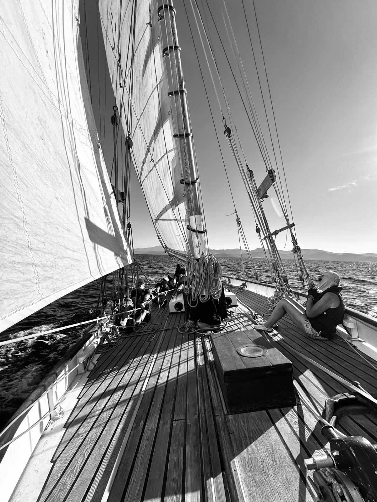 Madcap-1874 Corsica Classique photo de manoeuvre noir et blanc